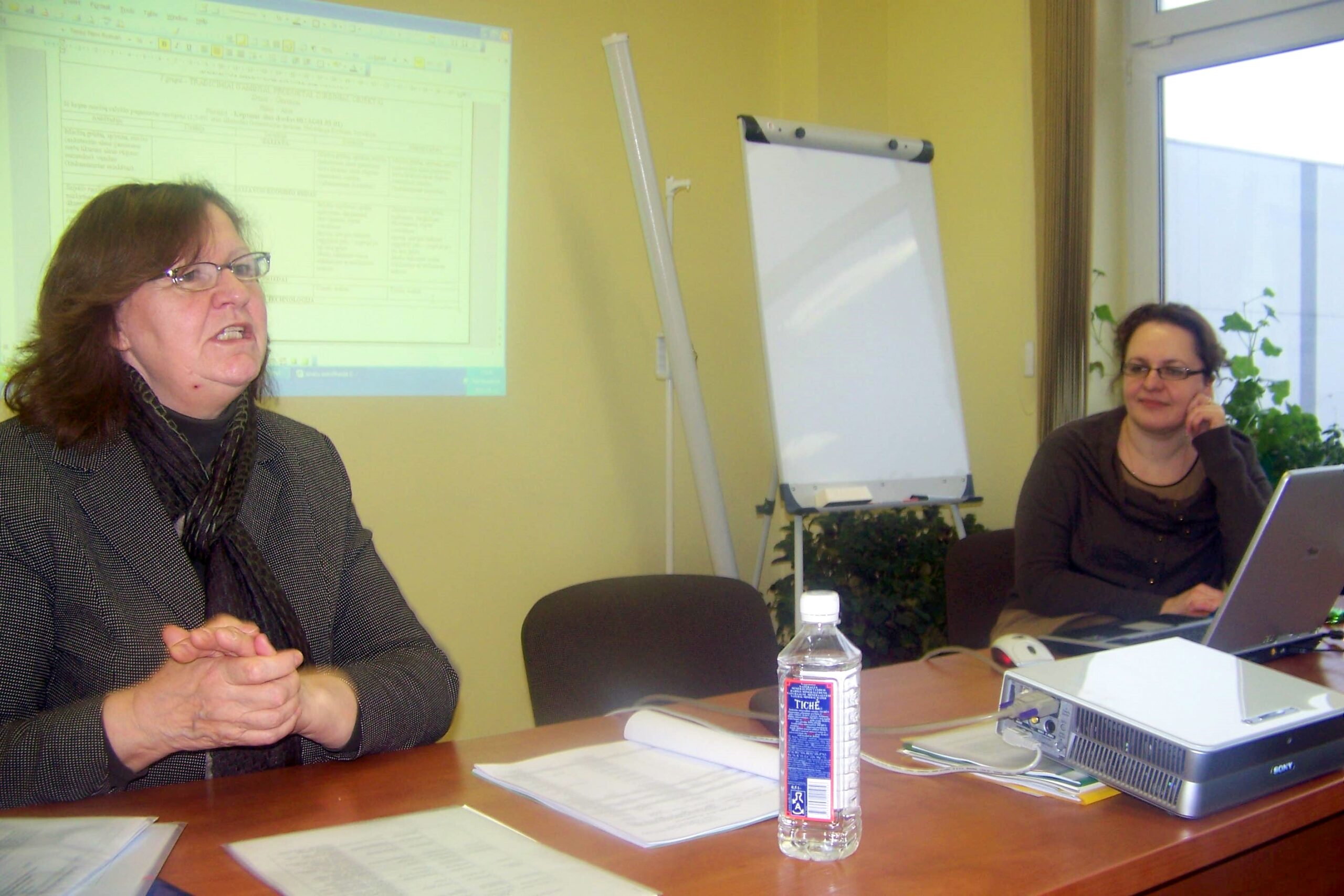 2012m. sausio mėnesio organizuotų mokymų akimirkos